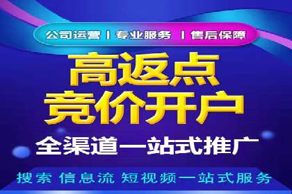 竞价SEM助力电商平台快速提升流量
