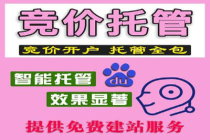 案例分析：竞价代运营助力企业品牌知名度