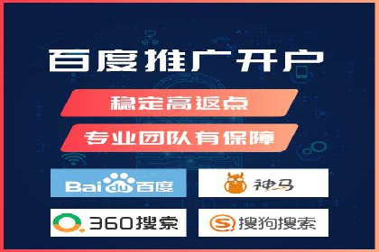百度竞价广告与自然搜索排名的结合策略案例